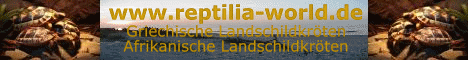 Die Seite beschreibt unsere Erfahrung zur Haltung und Aufzucht von Europ&auml;ischen und Afrikanischen Landschildkr&ouml;ten. Auch Urlaubsberichte wie z.B. Korsika sind zu finden.