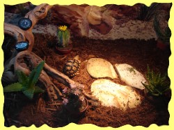 panther-sonne-inkspill